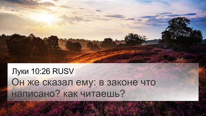 Луки 10:26 RUSV Bible Verse Image