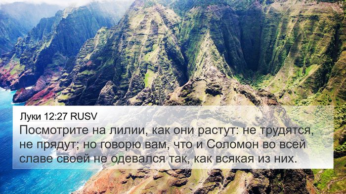 Луки 12:27 RUSV Bible Verse Image