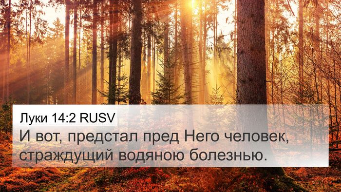 Луки 14:2 RUSV 4K Wallpaper - И вот, предстал пред Него - 4K Wallpaper Bible Verse