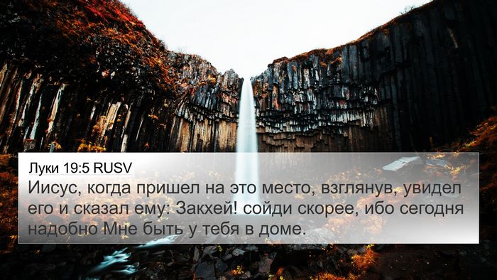 Луки 19:5 RUSV Bible Verse Image