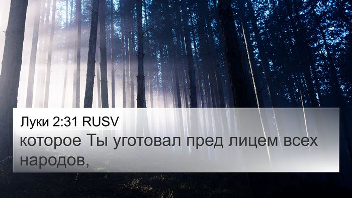 Луки 2:31 RUSV 4K Wallpaper - которое Ты уготовал пред - 4K Wallpaper Bible Verse