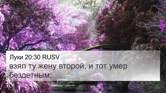 Луки 20:30 RUSV 4K Wallpaper - взял ту жену второй, и тот - 4K Wallpaper Bible Verse