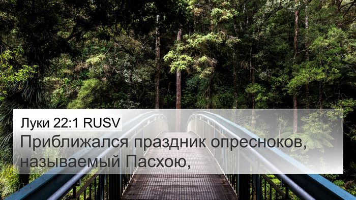 Луки 22:1 RUSV Bible Verse Image