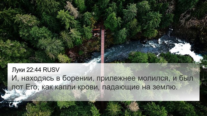 Луки 22:44 RUSV Bible Verse Image