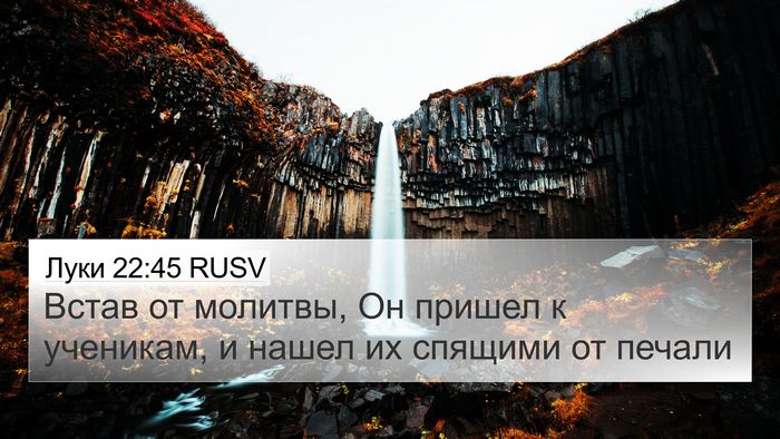 Луки 22:45 RUSV Bible Verse Image