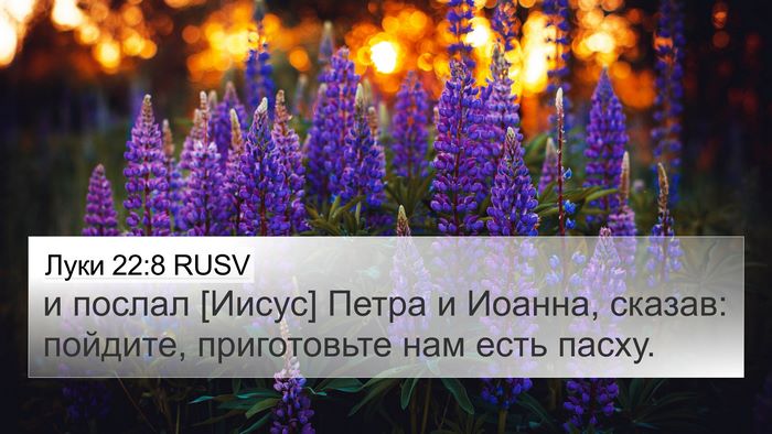 Луки 22:8 RUSV 4K Wallpaper - и послал [Иисус] Петра и - 4K Wallpaper Bible Verse