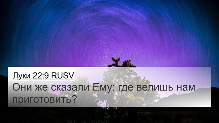 Луки 22:9 RUSV 4K Wallpaper - Они же сказали Ему: где - 4K Wallpaper Bible Verse