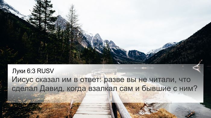 Луки 6:3 RUSV Bible Verse Image