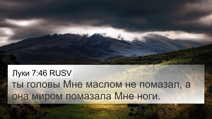Луки 7:46 RUSV Bible Verse Image