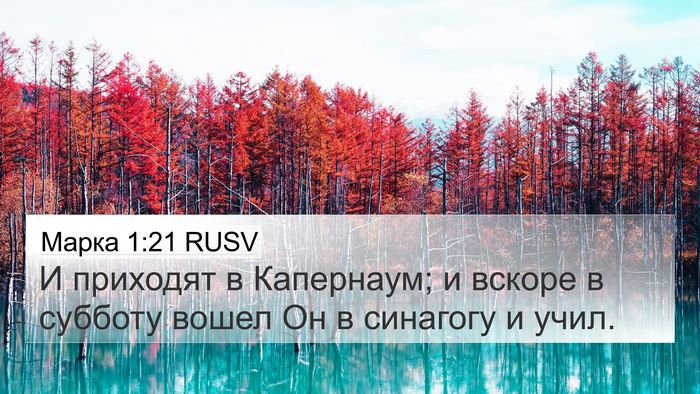 Марка 1:21 RUSV Bible Verse Image