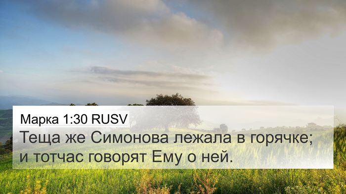 Марка 1:30 RUSV 4K Wallpaper - Теща же Симонова лежала в - 4K Wallpaper Bible Verse