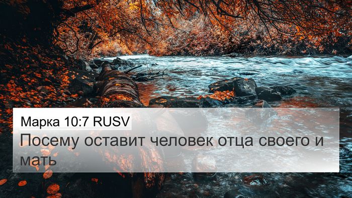 Марка 10:7 RUSV 4K Wallpaper - Посему оставит человек - 4K Wallpaper Bible Verse
