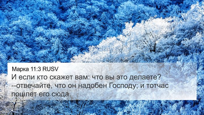 Марка 11:3 RUSV 4K Wallpaper - И если кто скажет вам: что - 4K Wallpaper Bible Verse