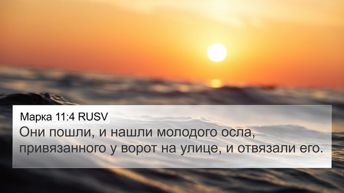 Марка 11:4 RUSV Bible Verse Image