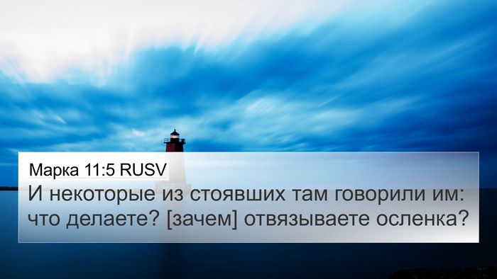 Марка 11:5 RUSV 4K Wallpaper - И некоторые из стоявших - 4K Wallpaper Bible Verse