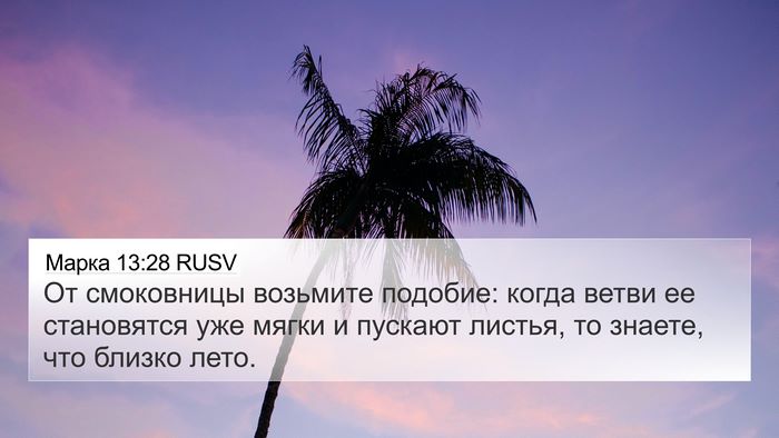 Марка 13:28 RUSV Bible Verse Image
