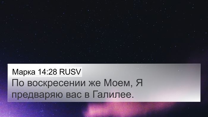Марка 14:28 RUSV Bible Verse Image