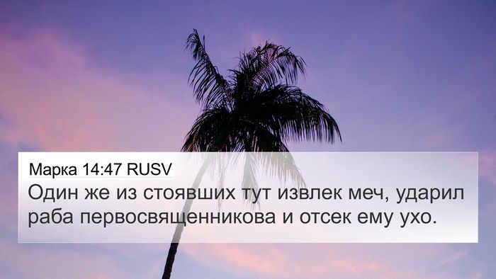 Марка 14:47 RUSV Bible Verse Image