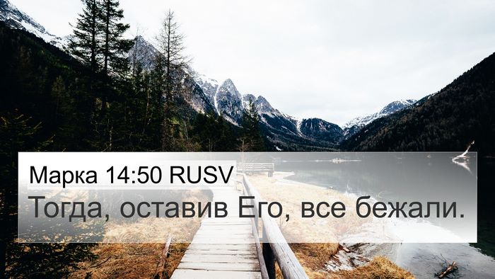 Марка 14:50 RUSV Bible Verse Image