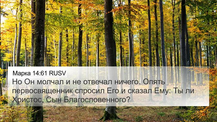 Марка 14:61 RUSV Bible Verse Image