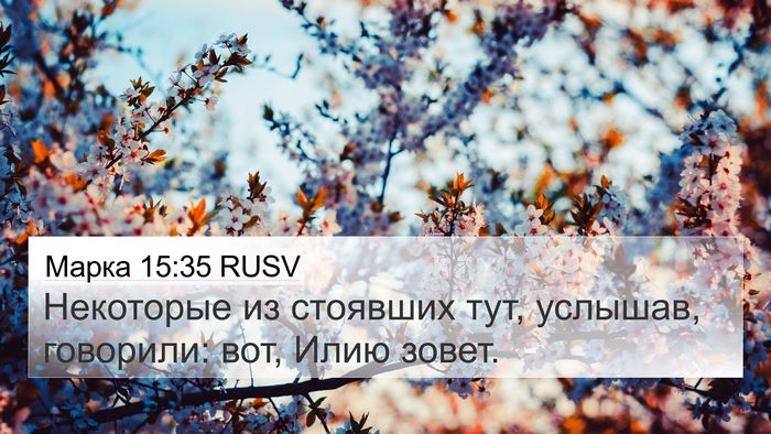 Марка 15:35 RUSV Bible Verse Image