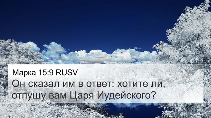 Марка 15:9 RUSV Bible Verse Image