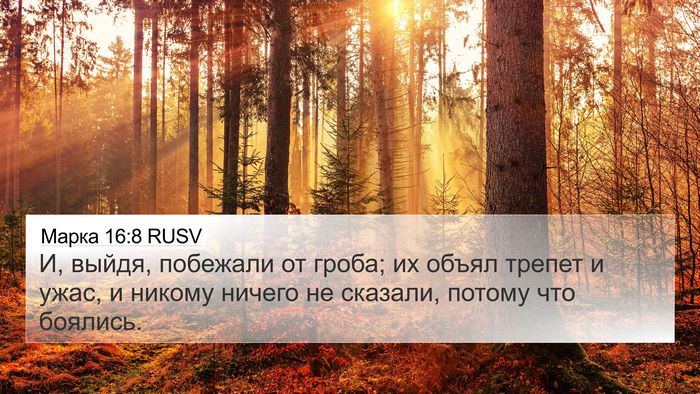 Марка 16:8 RUSV Bible Verse Image