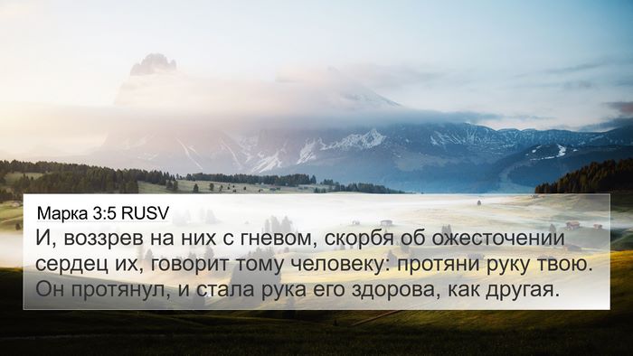 Марка 3:5 RUSV Bible Verse Image