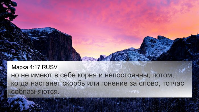 Марка 4:17 RUSV 4K Wallpaper - но не имеют в себе корня и - 4K Wallpaper Bible Verse