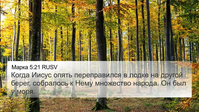 Марка 5:21 RUSV Bible Verse Image
