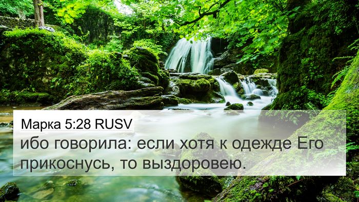 Марка 5:28 RUSV 4K Wallpaper - ибо говорила: если хотя к - 4K Wallpaper Bible Verse