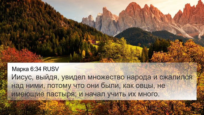 Марка 6:34 RUSV Bible Verse Image