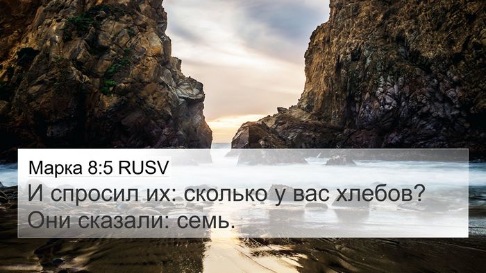 Марка 8:5 RUSV Bible Verse Image