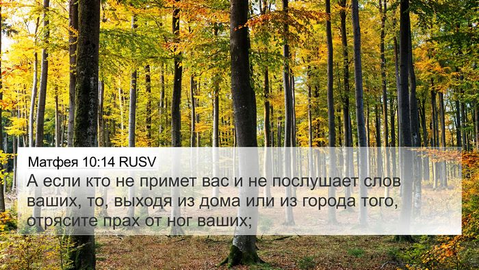 Матфея 10:14 RUSV Bible Verse Image
