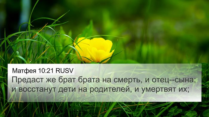 Матфея 10:21 RUSV Bible Verse Image