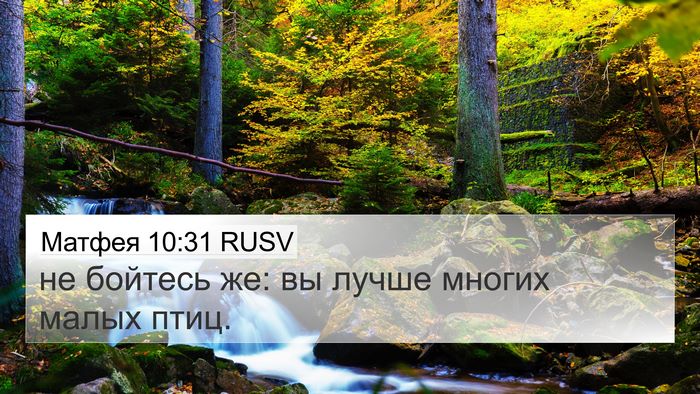 Матфея 10:31 RUSV Bible Verse Image