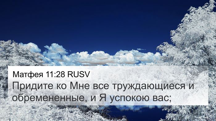 Матфея 11:28 RUSV Bible Verse Image