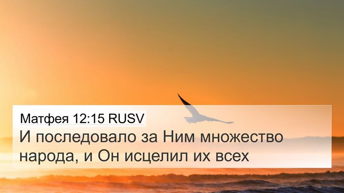 Матфея 12:15 RUSV 4K Wallpaper - И последовало за Ним - 4K Wallpaper Bible Verse
