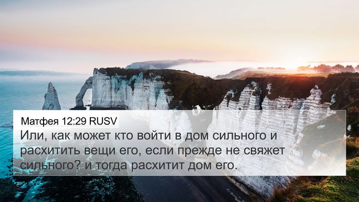 Матфея 12:29 RUSV Bible Verse Image