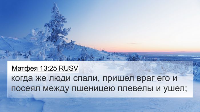 Матфея 13:25 RUSV Bible Verse Image