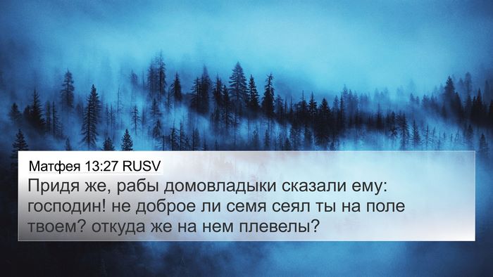 Матфея 13:27 RUSV 4K Wallpaper - Придя же, рабы домовладыки - 4K Wallpaper Bible Verse