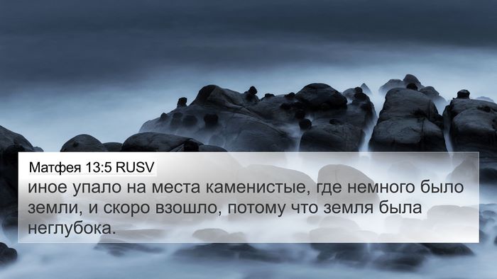 Матфея 13:5 RUSV Bible Verse Image