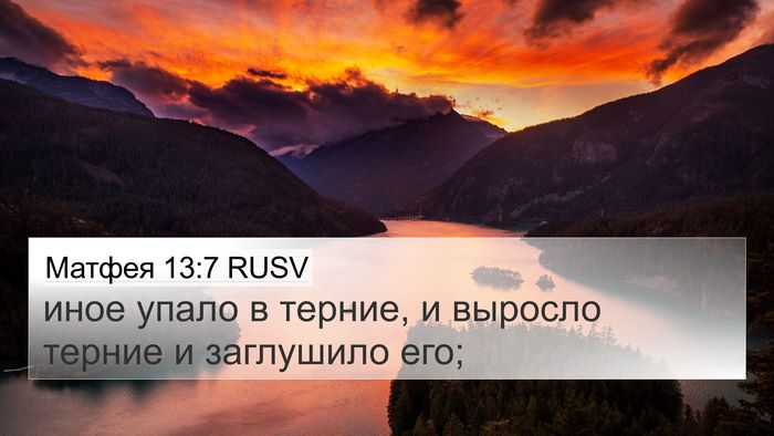 Матфея 13:7 RUSV Bible Verse Image