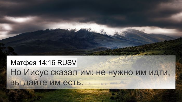 Матфея 14:16 RUSV 4K Wallpaper - Но Иисус сказал им: не - 4K Wallpaper Bible Verse