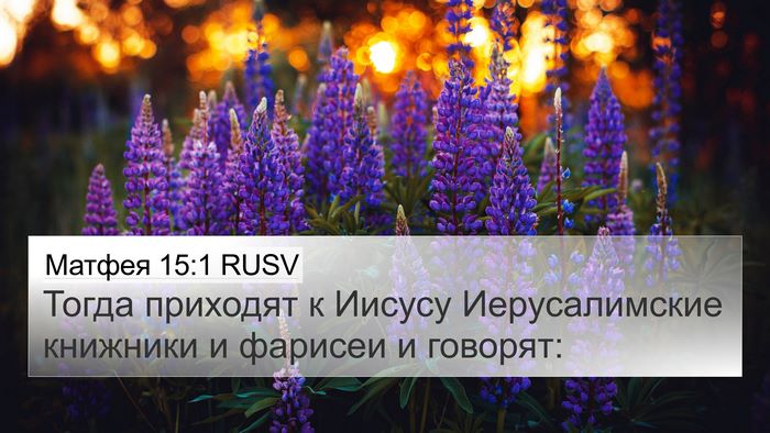 Матфея 15:1 RUSV Bible Verse Image