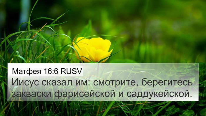 Матфея 16:6 RUSV Bible Verse Image