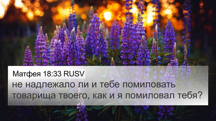 Матфея 18:33 RUSV Bible Verse Image