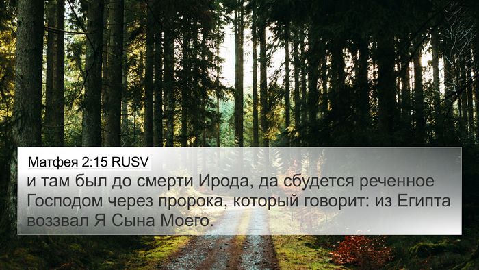 Матфея 2:15 RUSV 4K Wallpaper - и там был до смерти Ирода, - 4K Wallpaper Bible Verse