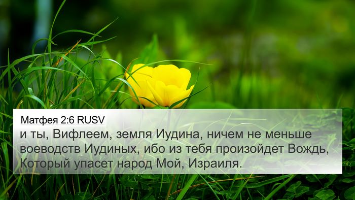 Матфея 2:6 RUSV 4K Wallpaper - и ты, Вифлеем, земля Иудина, - 4K Wallpaper Bible Verse