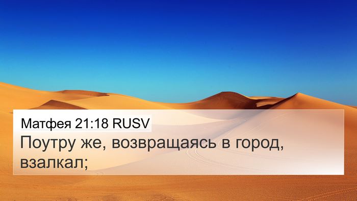 Матфея 21:18 RUSV 4K Wallpaper - Поутру же, возвращаясь в - 4K Wallpaper Bible Verse